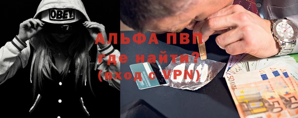 дмт Дмитров