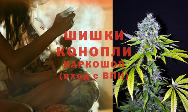 прущая мука Дмитриев