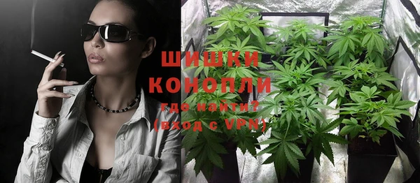 прущая мука Дмитриев