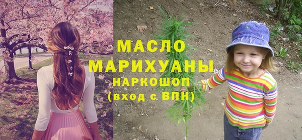 дмт Дмитров