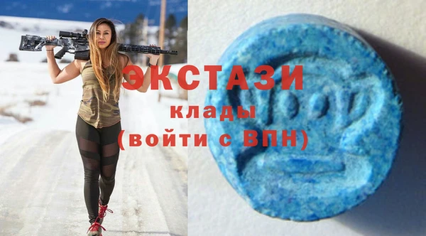 дмт Дмитров